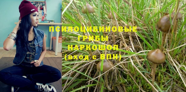 альфа пвп Беломорск